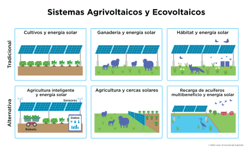 Figura compara sistemas agrivoltaicos tradicionales y alternativas