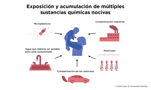 Gráfica que muestra las químicas a las que estamos expuestas 